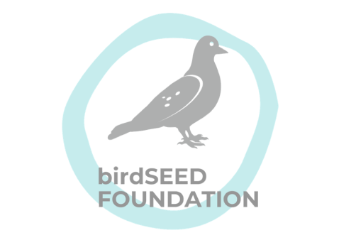 BirdSeed Foundation